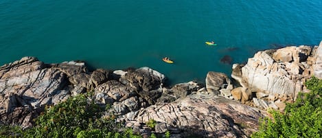 A rocky coastline with kayaks in the water and lush greenery in the foreground.