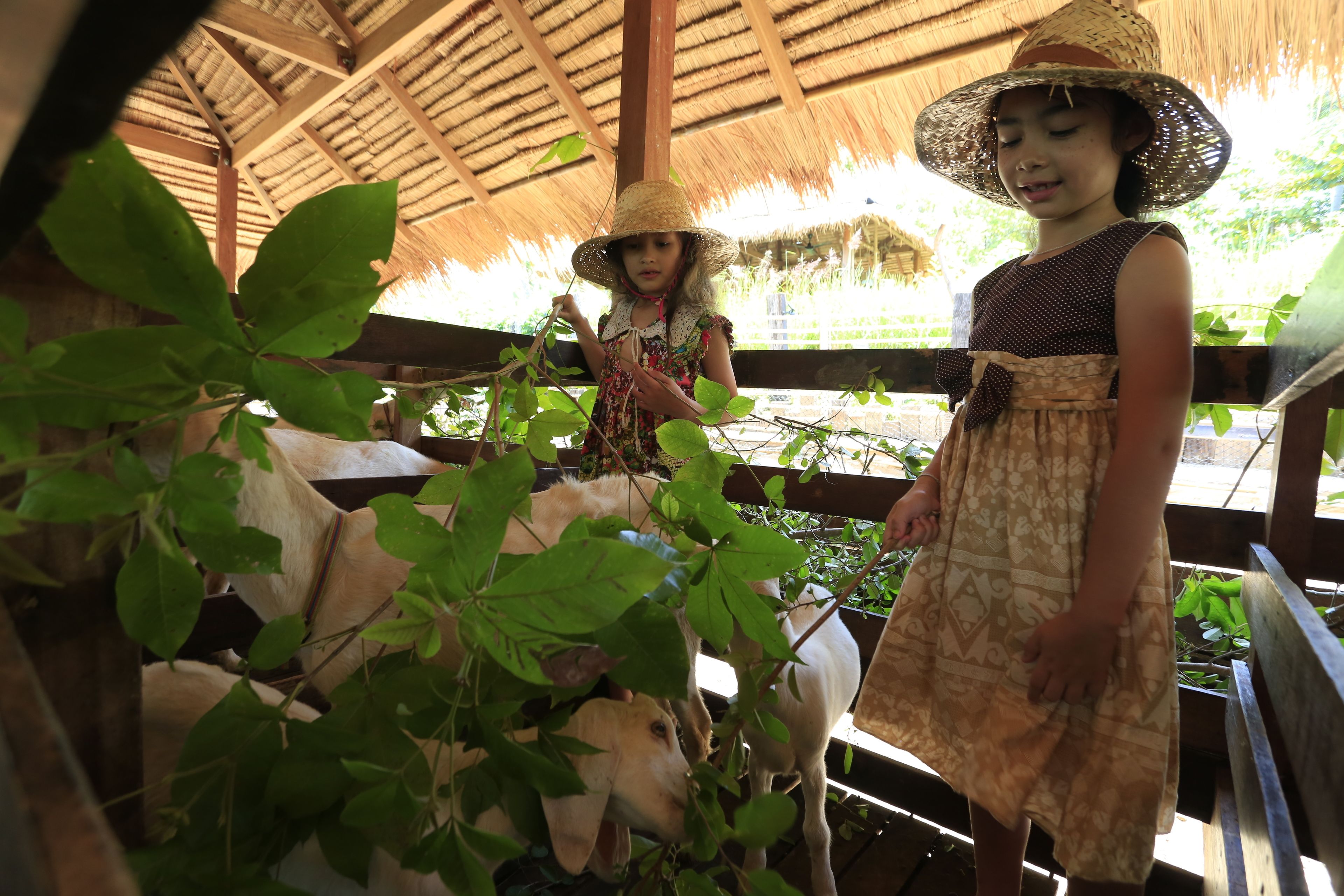 Photo - Six Senses Samui