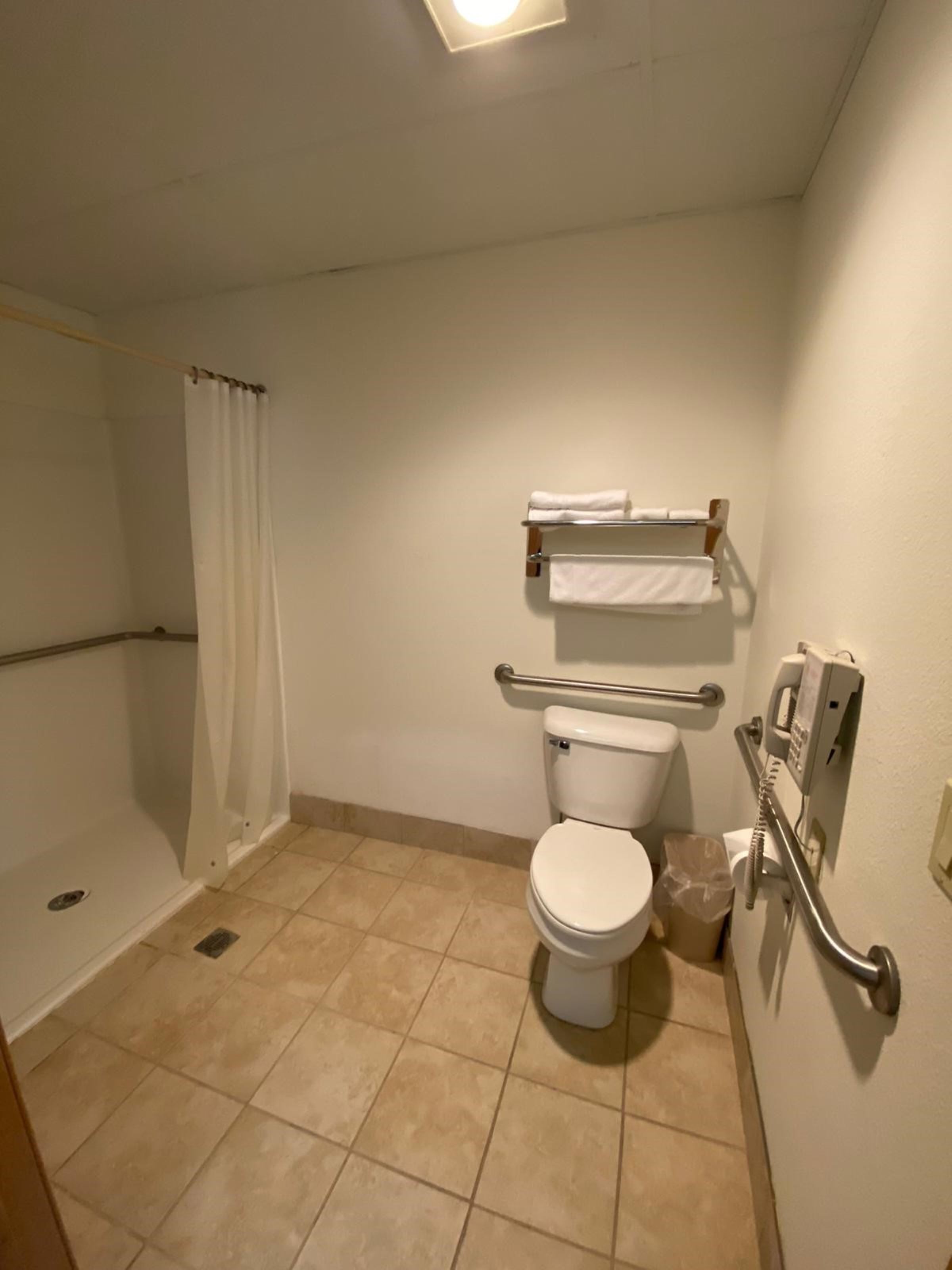 A bathroom with a toilet, a shower area, and a grab bar.