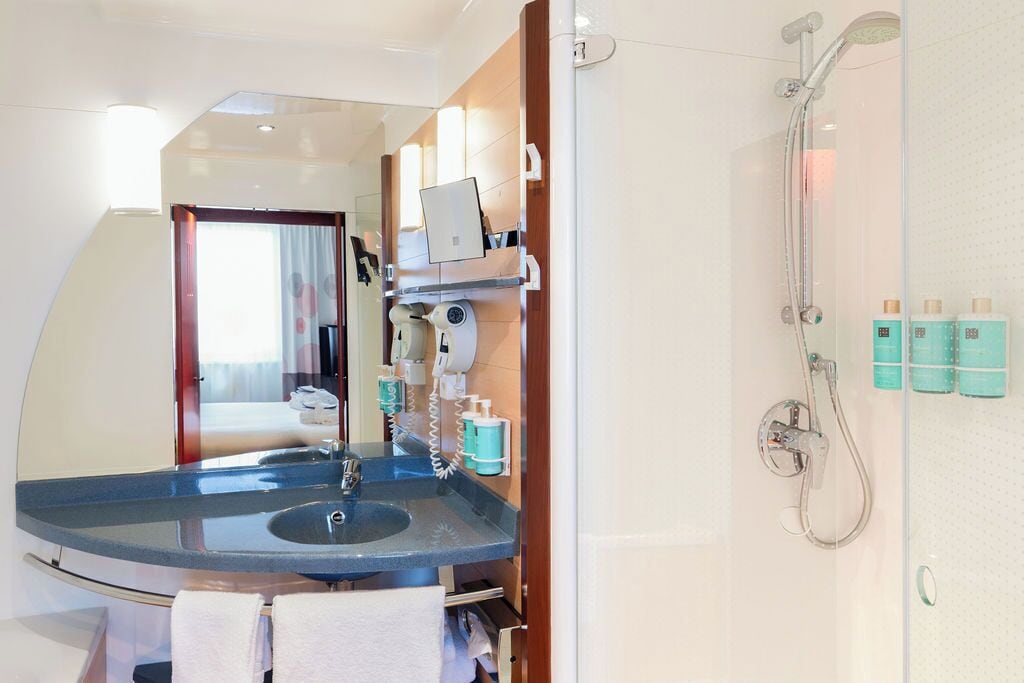 A modern bathroom with a curved sink, a handheld showerhead, and a mirror.