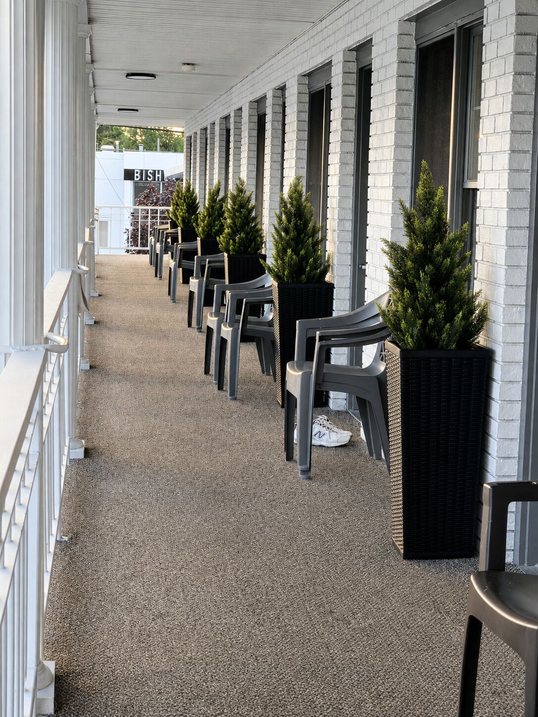 Et overdækket udendørs område med rækker af stole og krukker med planter.