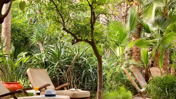 Un jardín con sillones de descanso, una mesa con una bebida y un bolso.