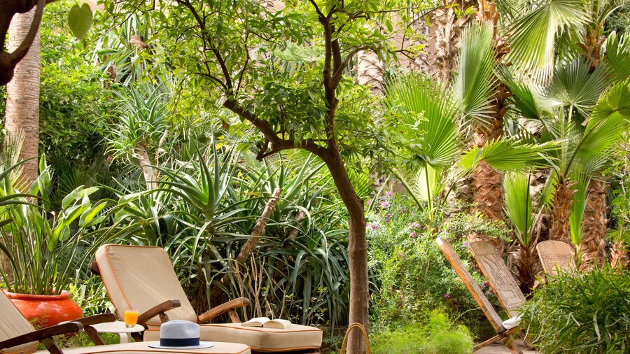 梅迪纳花园酒店