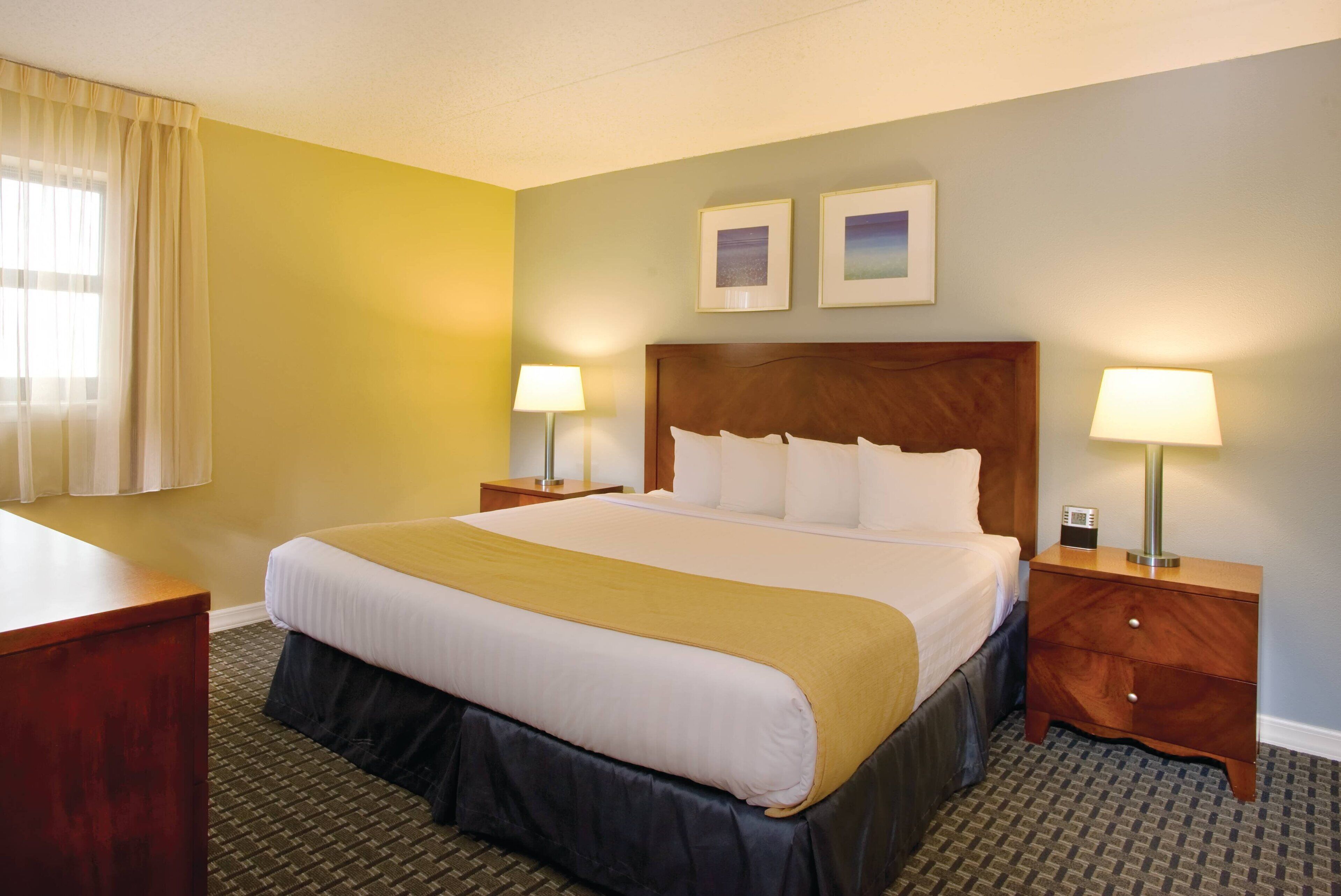 خزنة داخل الغرفة ومكتب وستائر تعتيم ومكواة/لوح كي