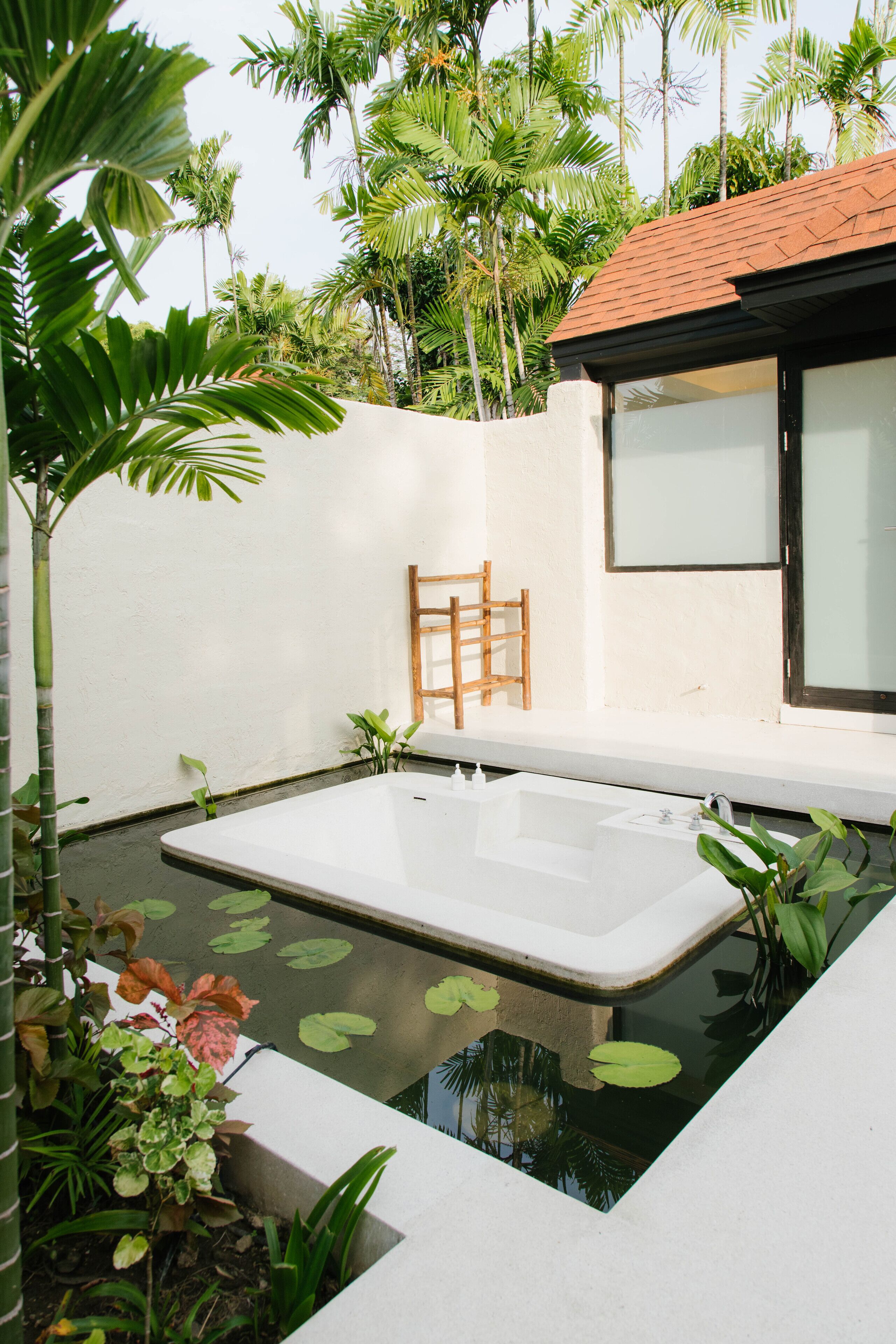 Un área de piscina moderna al aire libre con forma rectangular, rodeada de exuberante vegetación y una pared blanca.