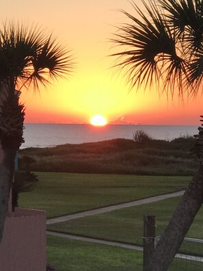 외부 세부 사진