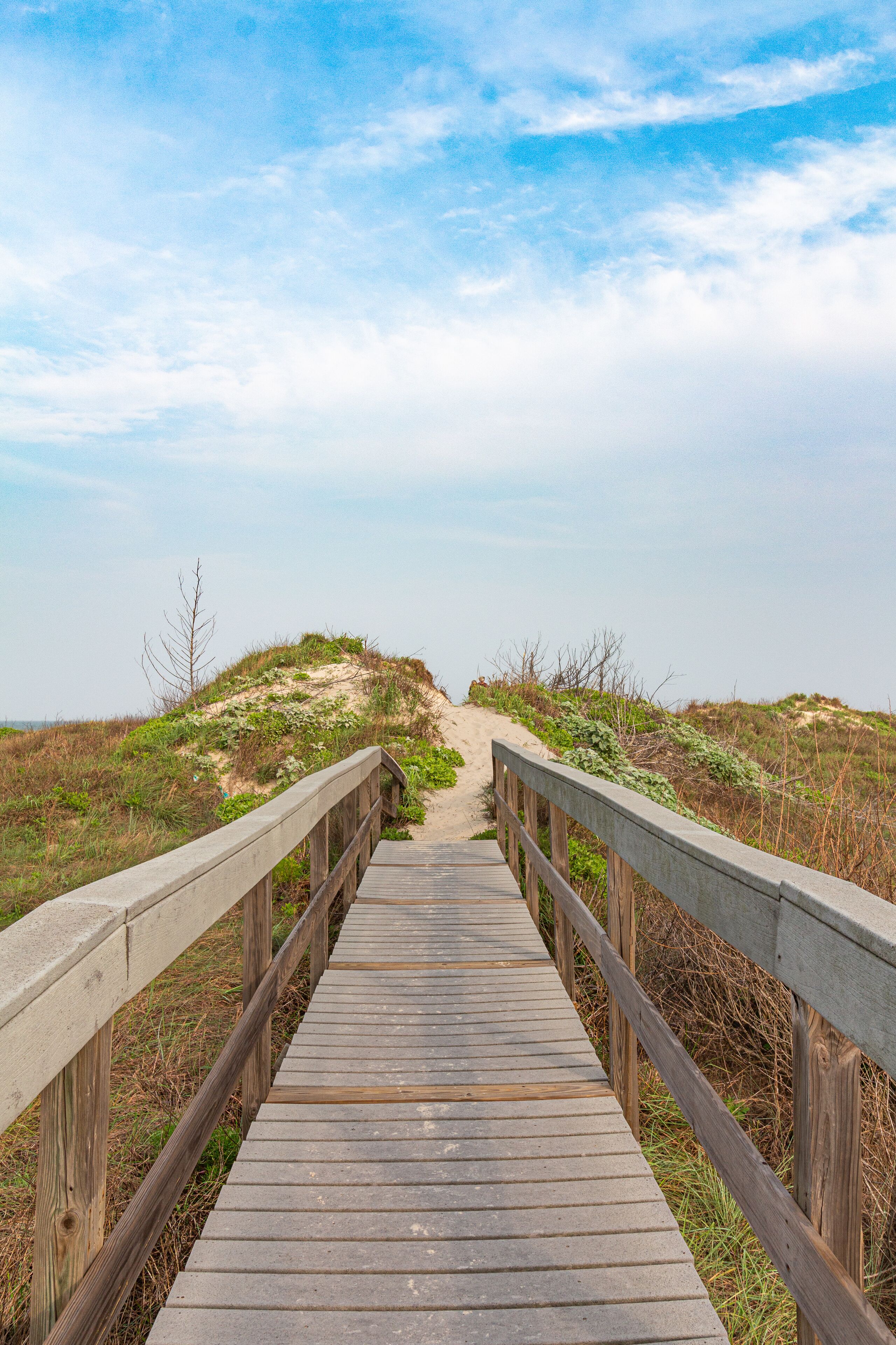 A wooden boardwalk leading to a dune landscape.