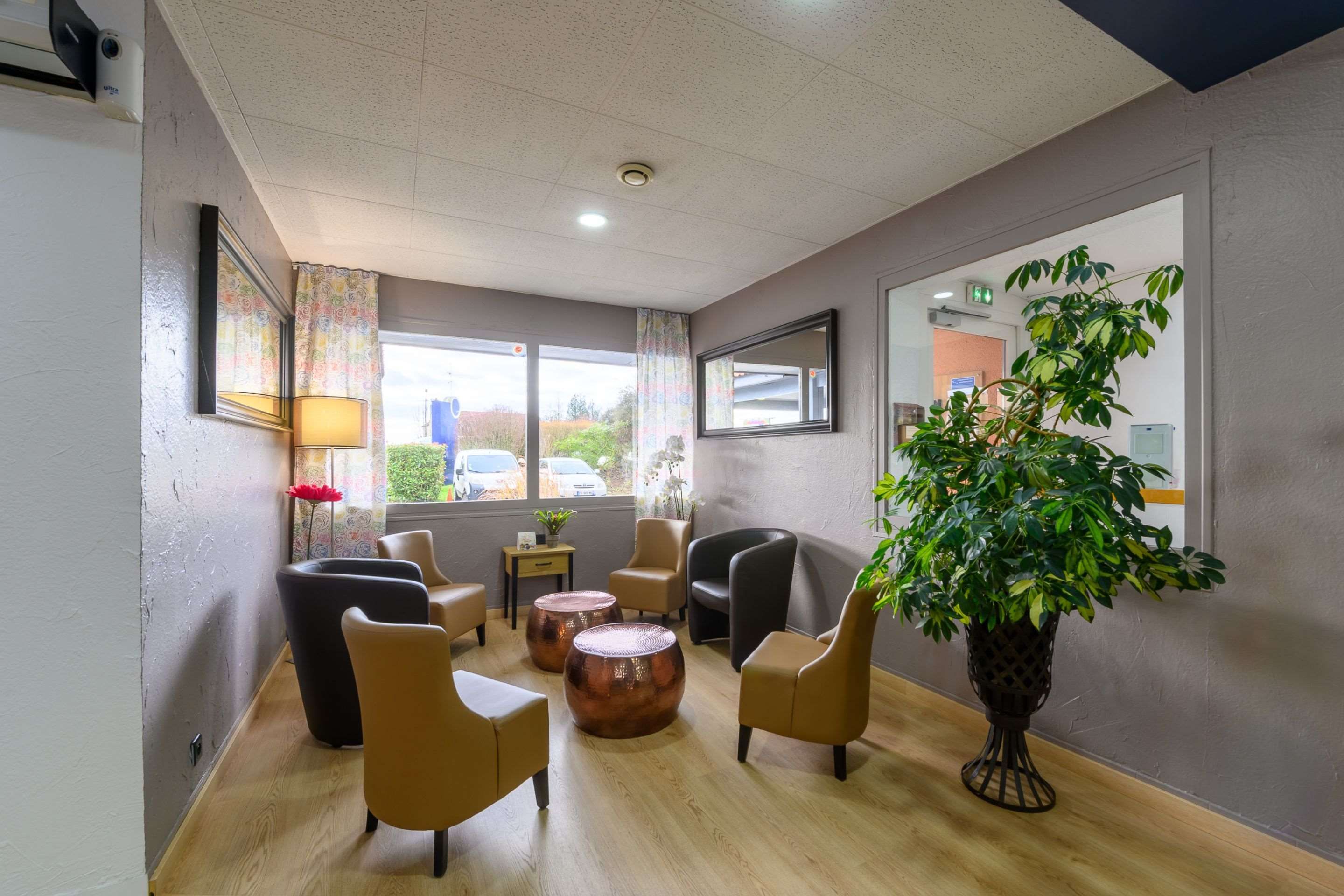 Habitación de hotel con zona de estar que incluye sillones de cuero, una mesita de centro y una planta grande en maceta.