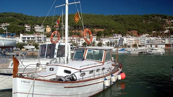 Dock