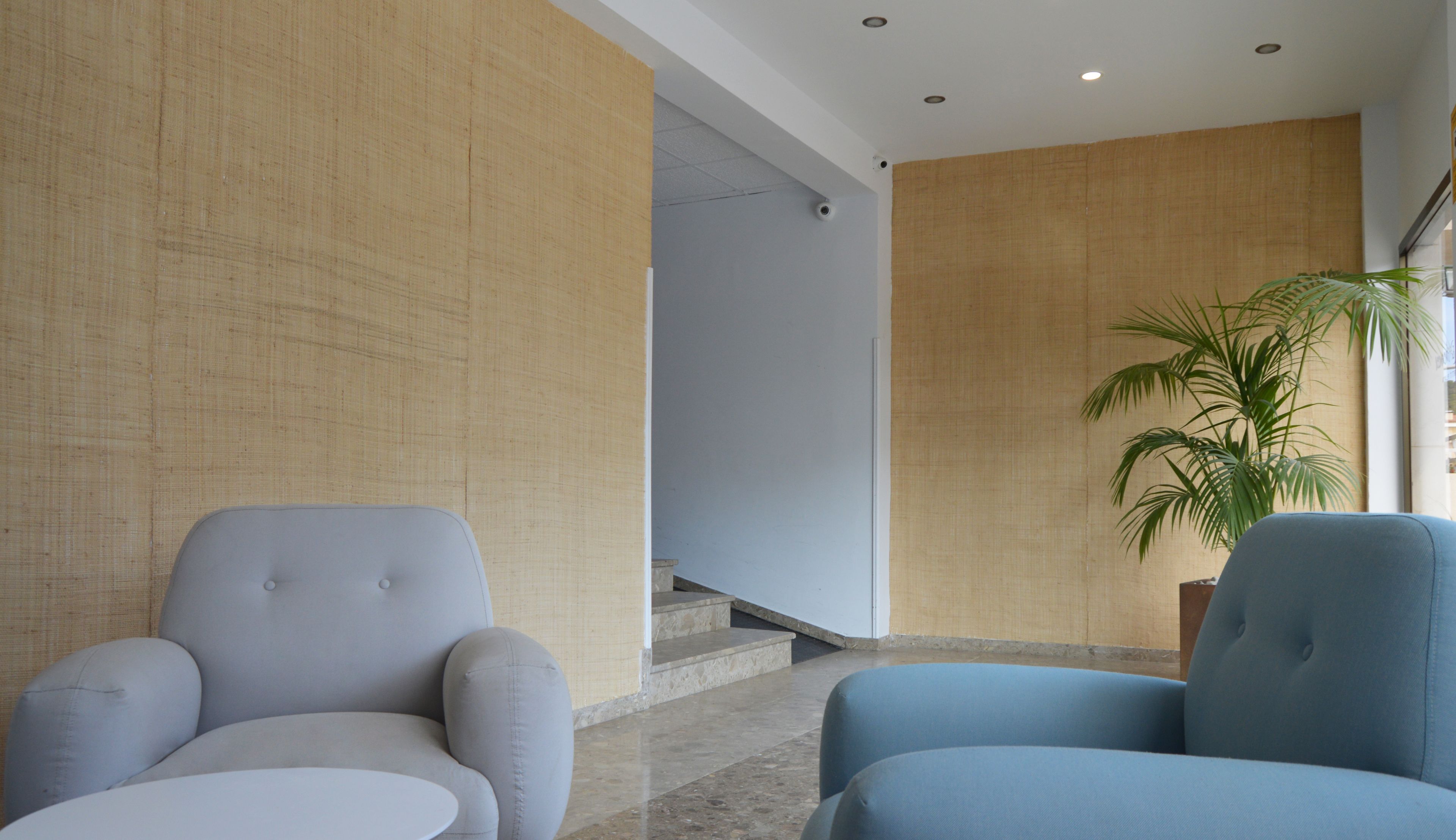 A modern lobby with two armchairs, a staircase, and a potted plant.