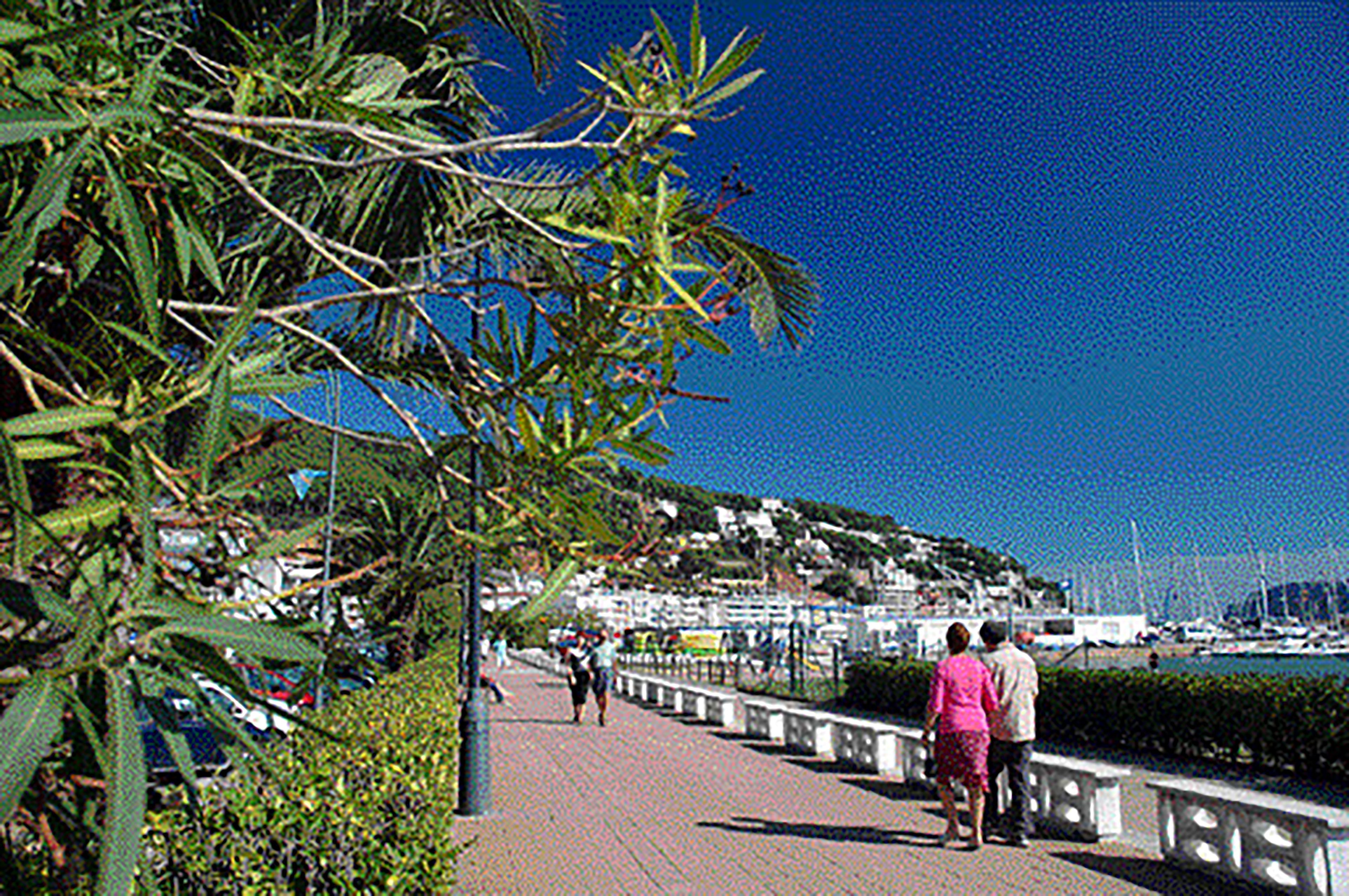 A coastal walkway with a clear view of the marina and boats.