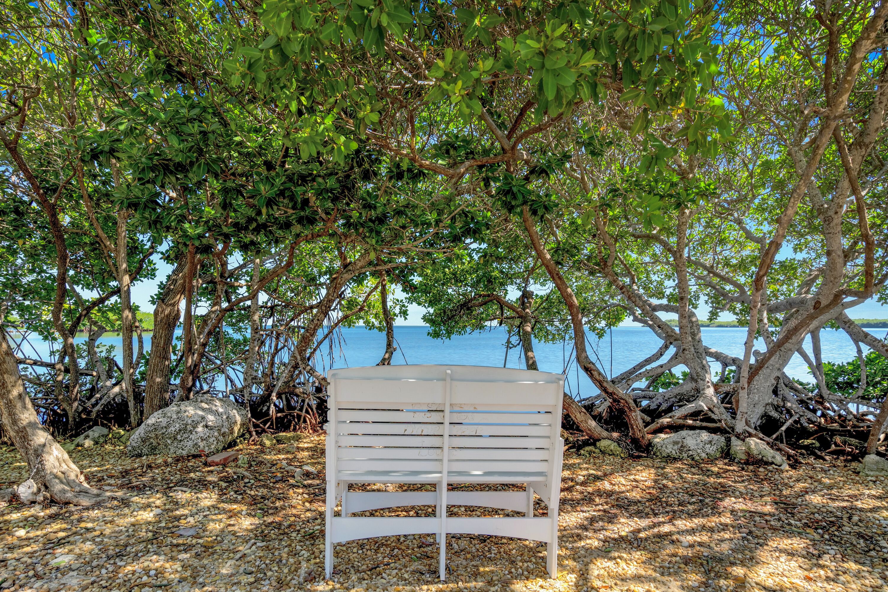 Un banc blanc, placé sous un arbre, au bord d’un lac.