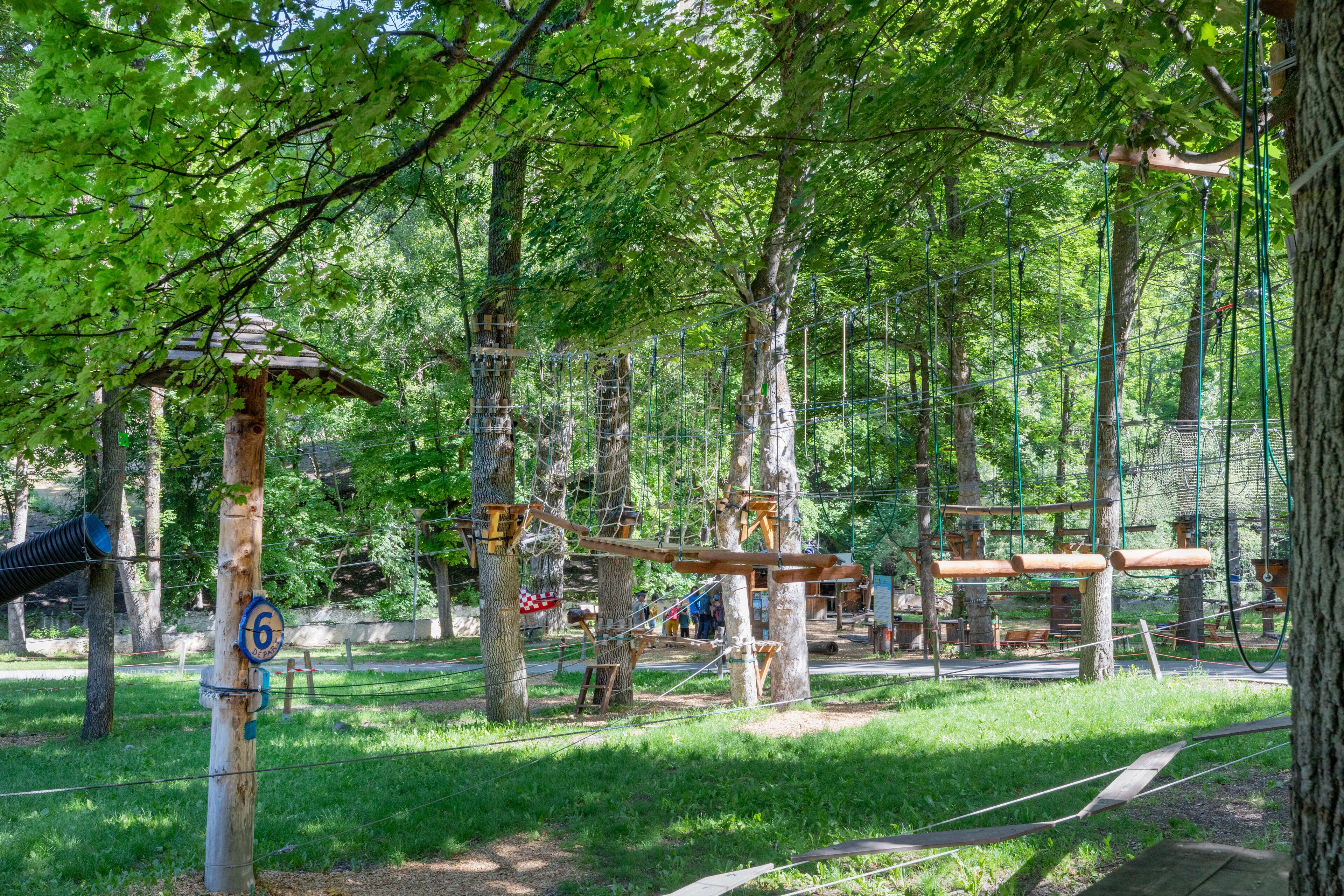 Percorso avventura in un parco boschivo con alberi e struttura in legno.