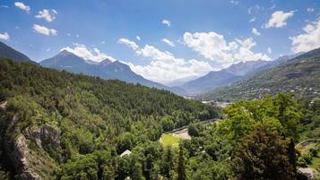 Un paisaje montañoso con bosques densos, cielo despejado y montañas a lo lejos.