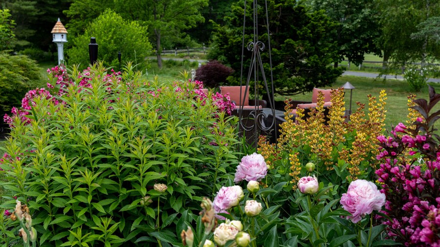 1802 House Bed and Breakfast