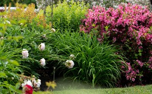Garden - 1802 House Bed and Breakfast (Kennebunkport)
