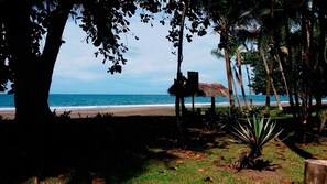 Beach - Perla Negra Beach Front Hotel (Puerto Viejo de Talamanca)