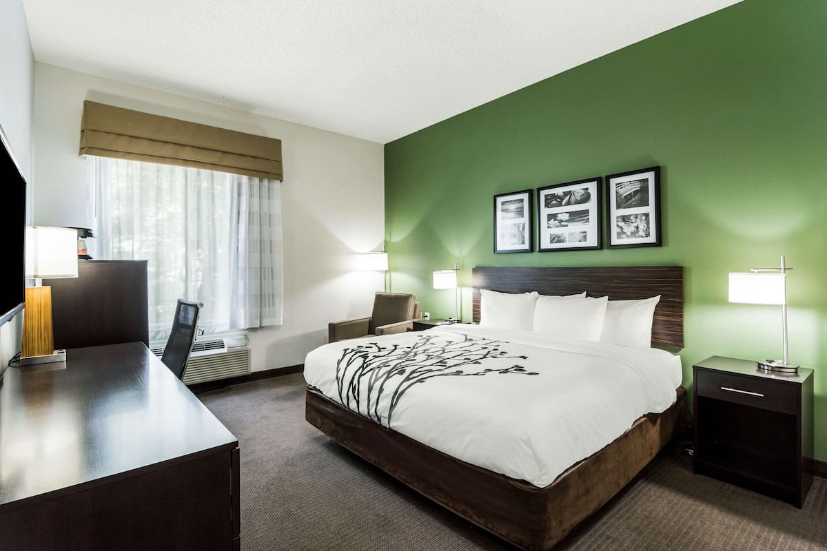 A hotel room with a large bed, a desk, a chair, a nightstand, and a TV.
