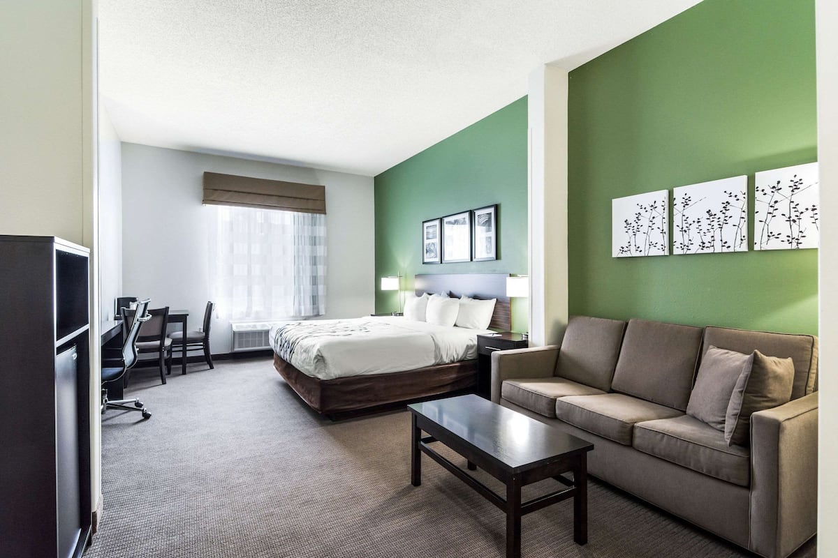 A hotel room with a bed, a sofa, a desk, and a TV.