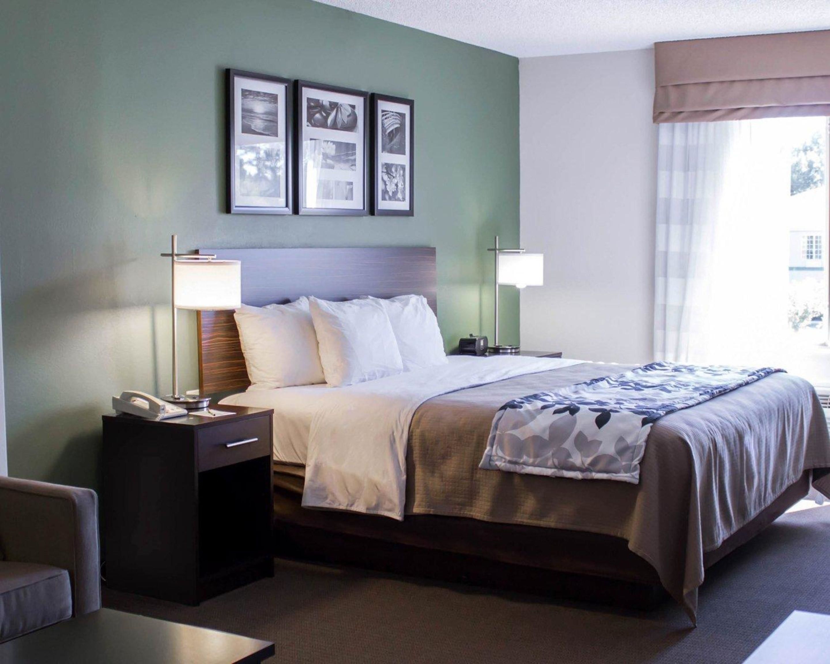 A hotel room with a bed, bedside tables, lamps, a telephone, and framed pictures on the wall.