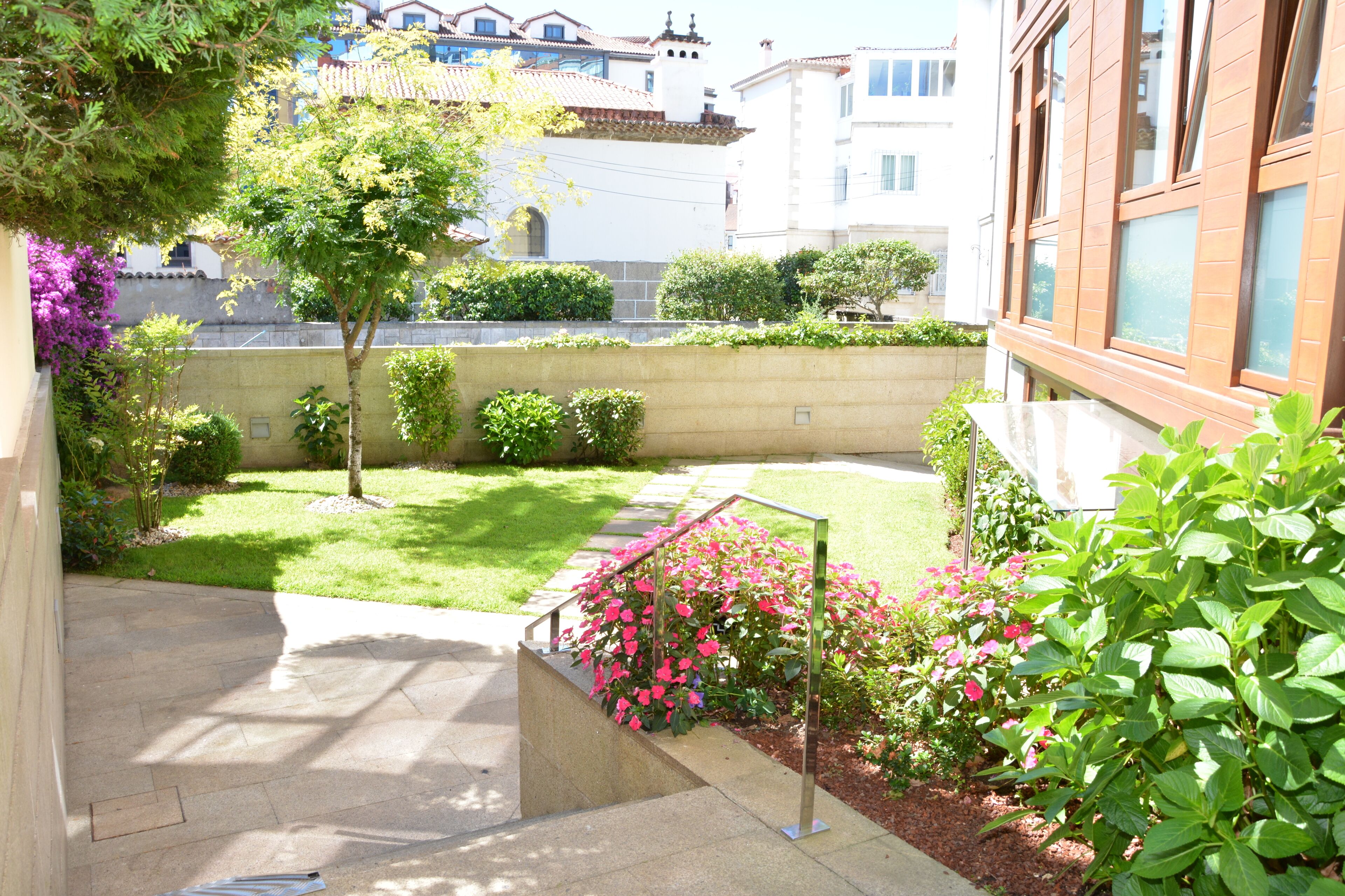 Foto - PR Rosa Rosae