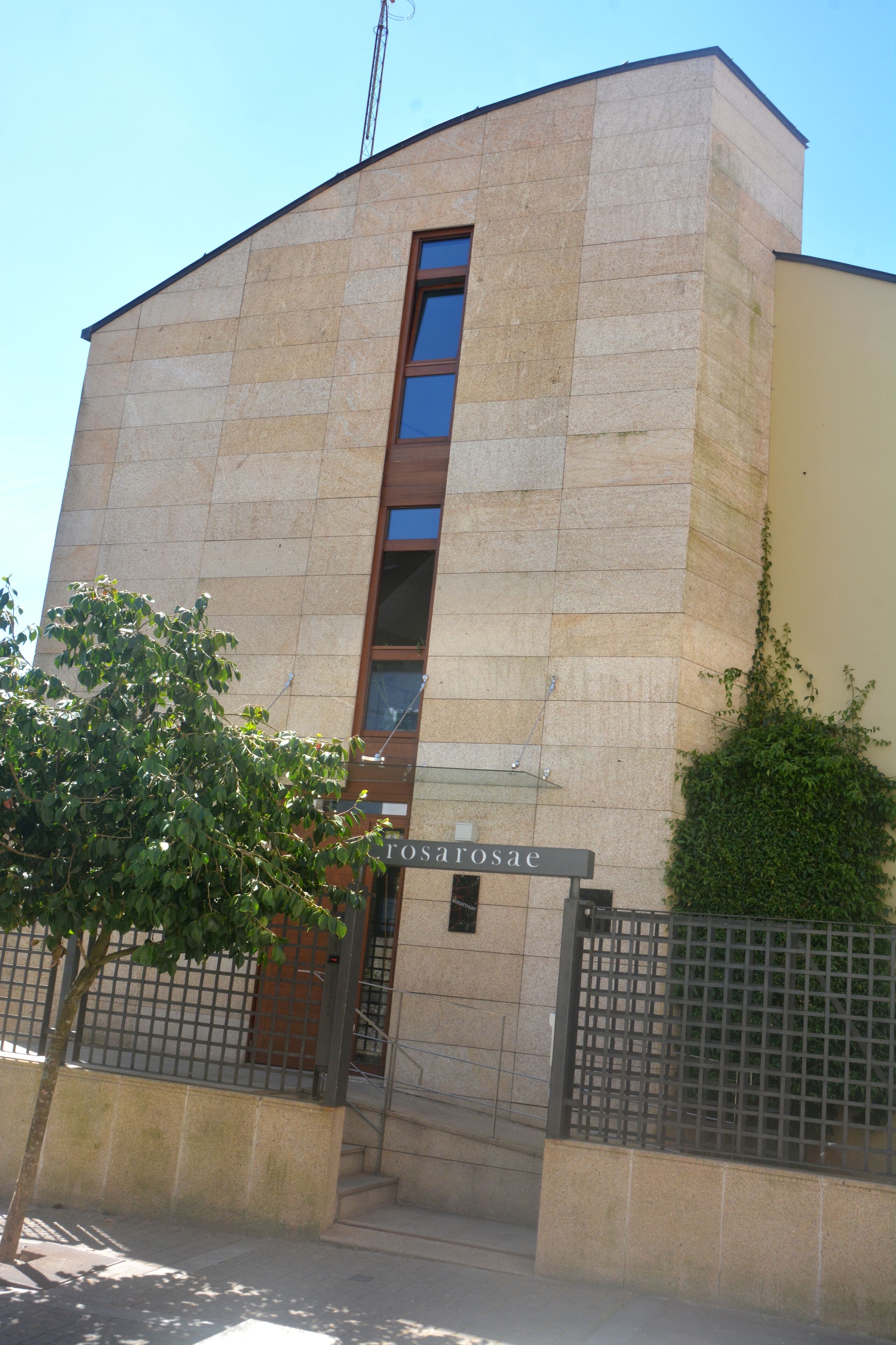 Foto - PR Rosa Rosae