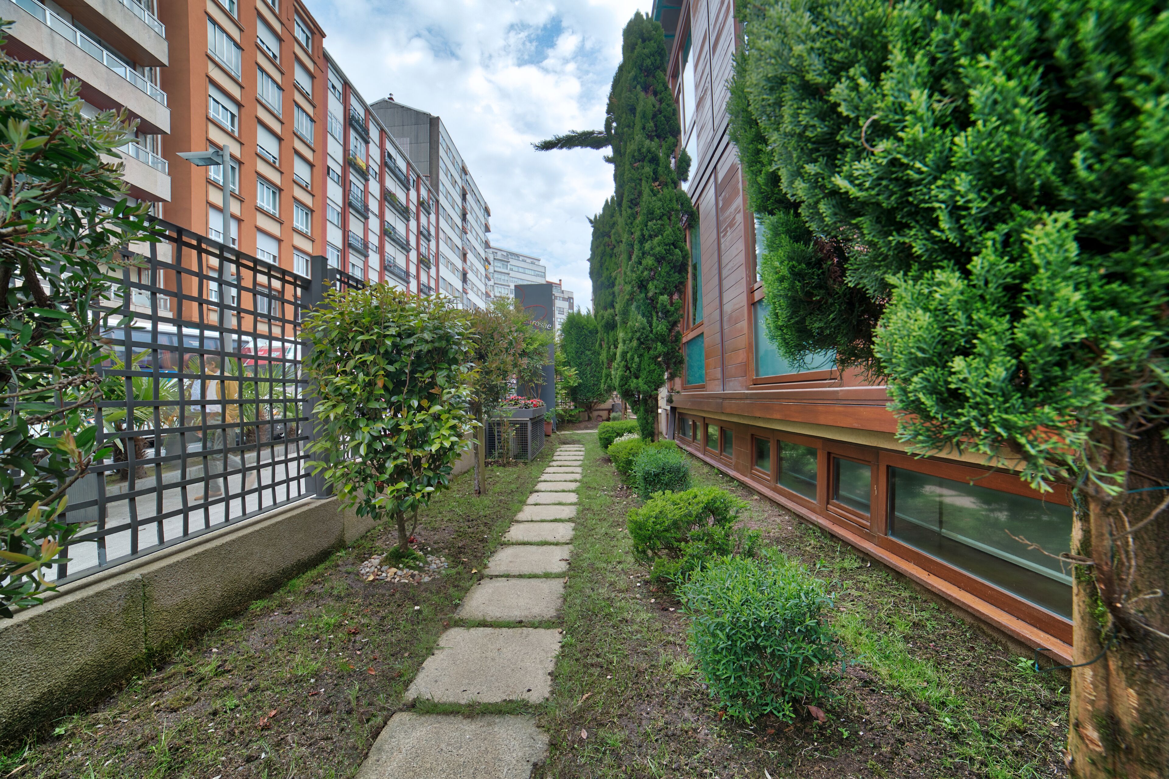 Foto - PR Rosa Rosae