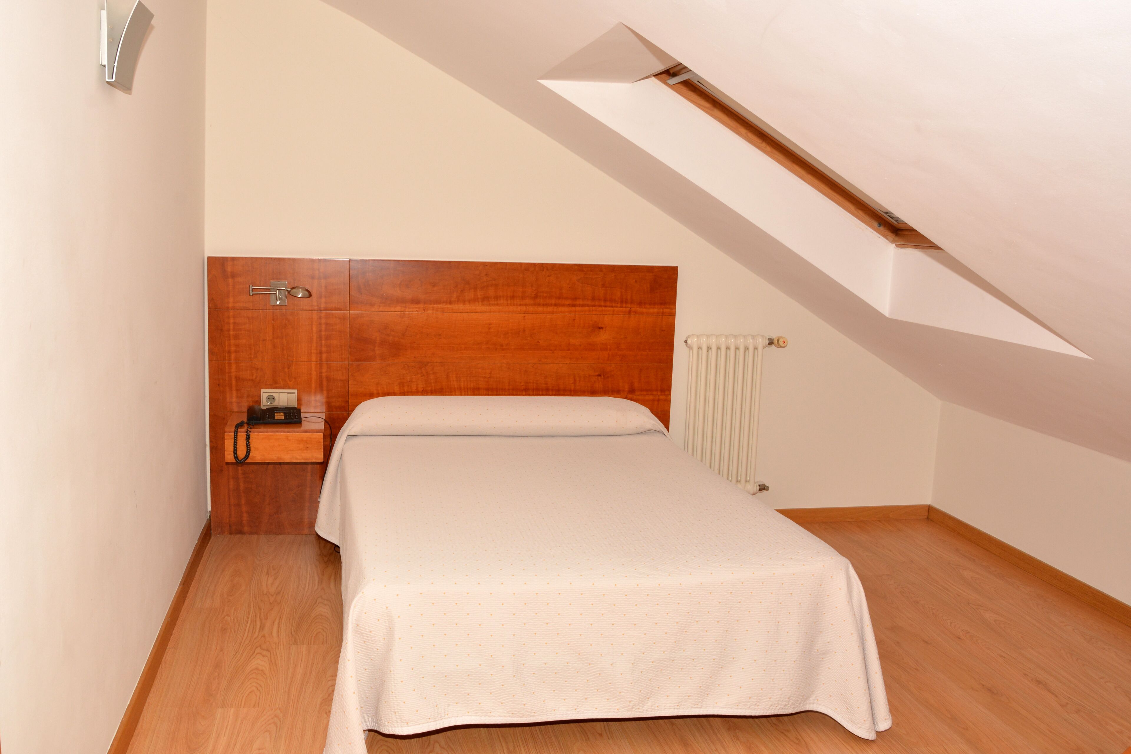 Foto - PR Rosa Rosae