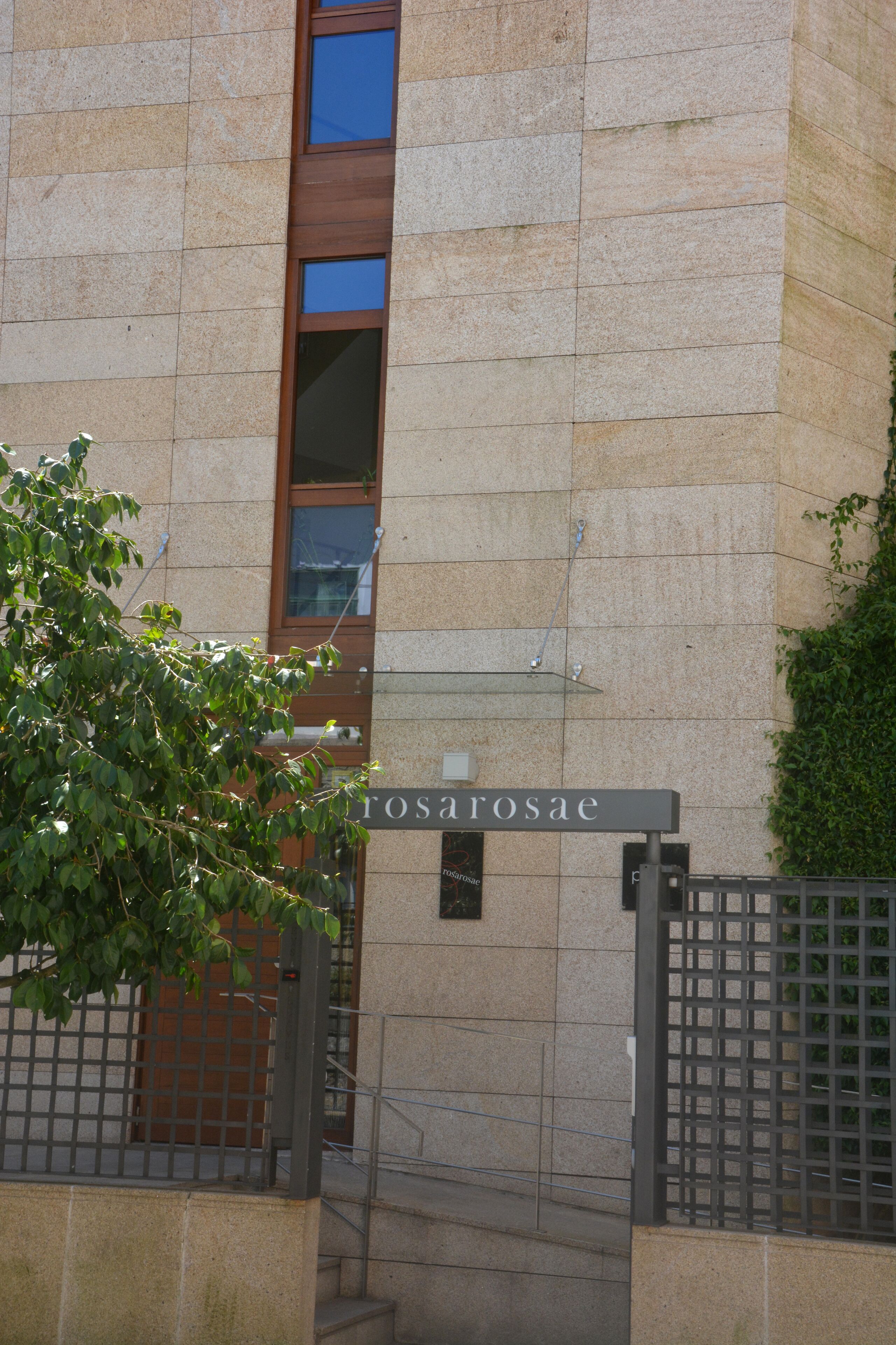 Foto - PR Rosa Rosae