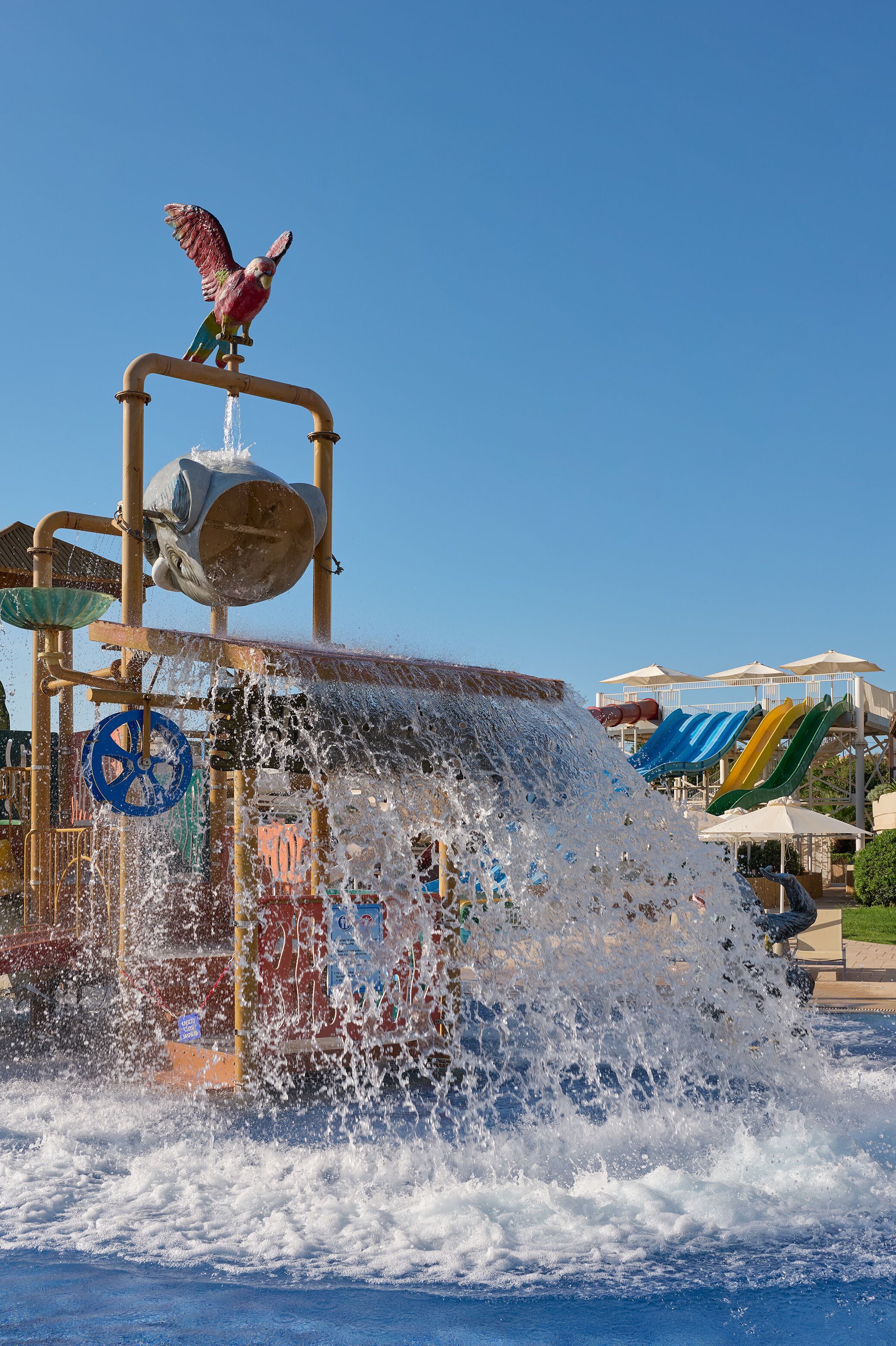 A water feature with a bird sculpture, a blue water slide, and a pool.