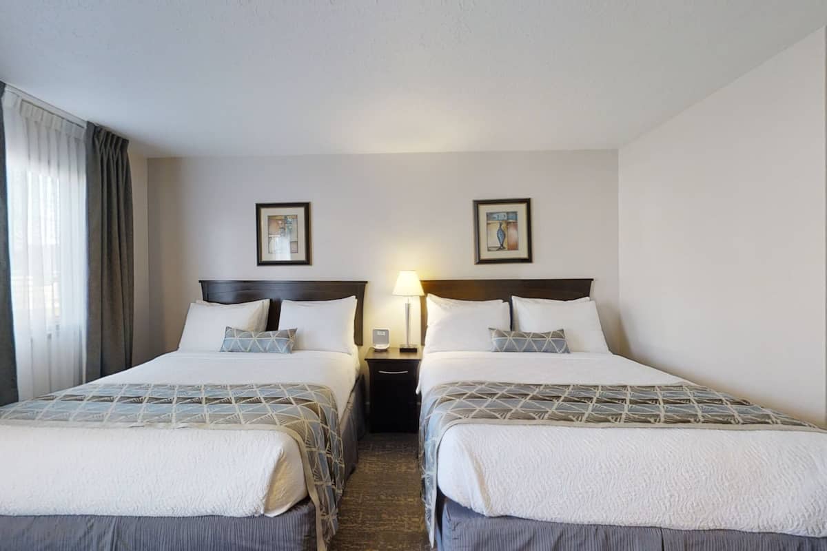 Habitación de hotel con dos camas, una mesita de noche con lámpara y dos cuadros en la pared.