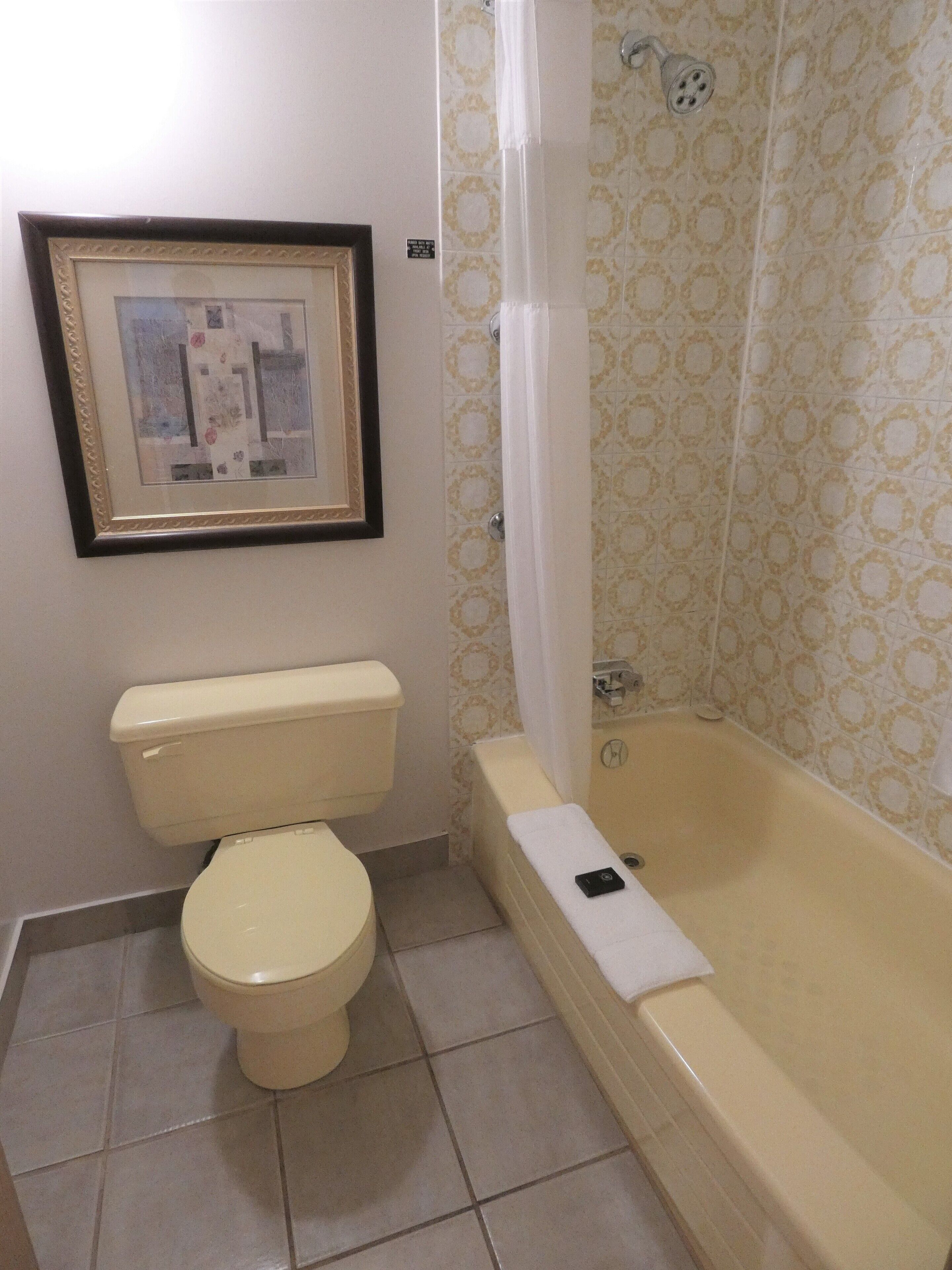 combined shower/bathtub, free toiletries, hair dryer, towels