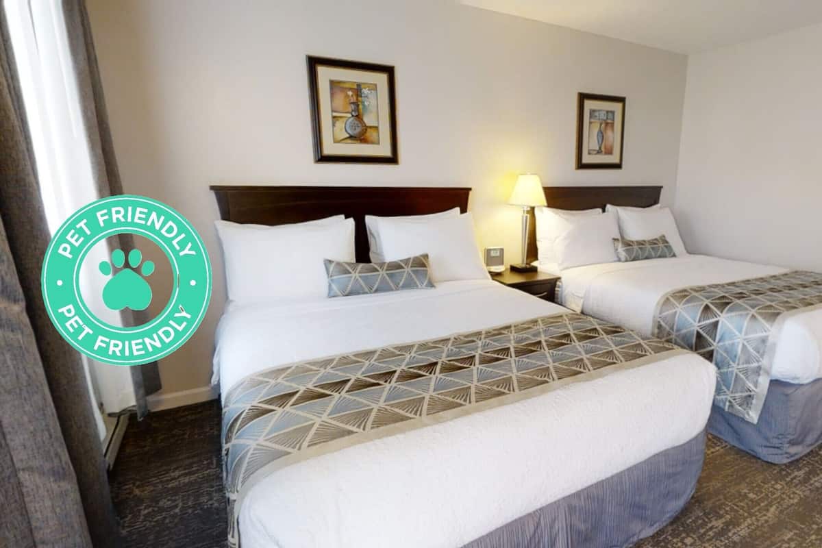 Standard Room, 2 Queen Beds (Pet Friendly) | Bureau, accĂšs au Wi-Fi (inclus), literie fournie