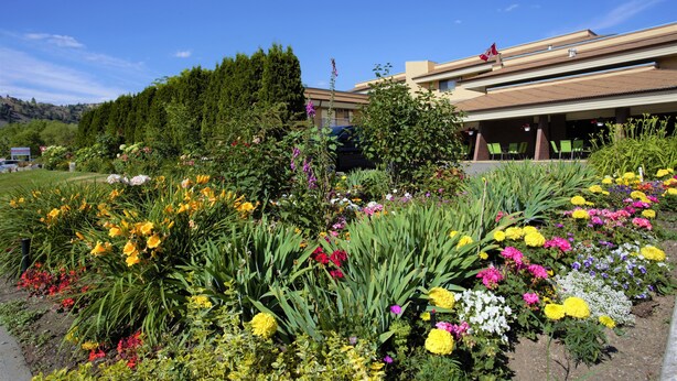 A hotel with a garden in front, surrounded by trees and a clear sky. - Dilworth Inn (Kelowna)