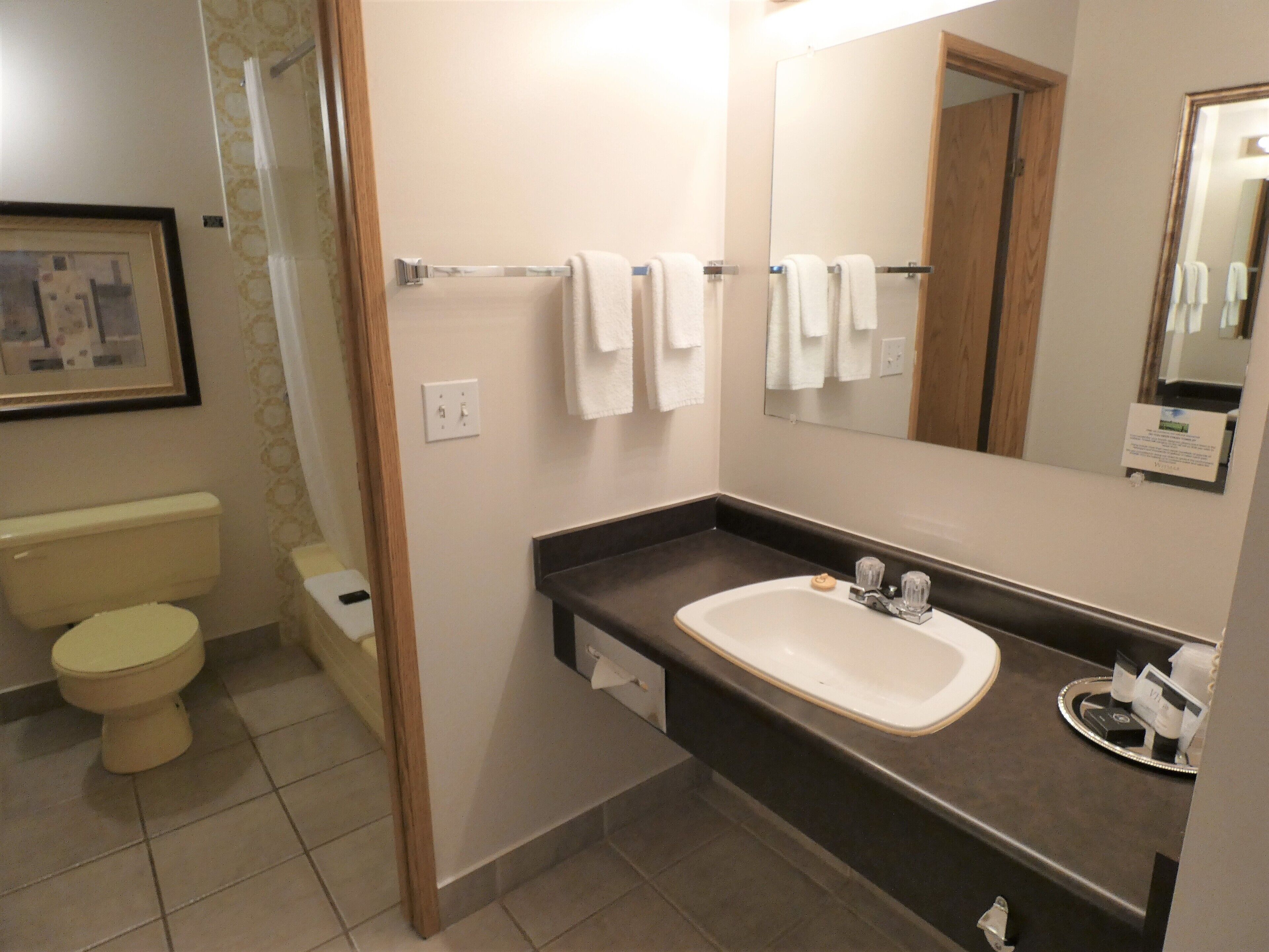 combined shower/bathtub, free toiletries, hair dryer, towels