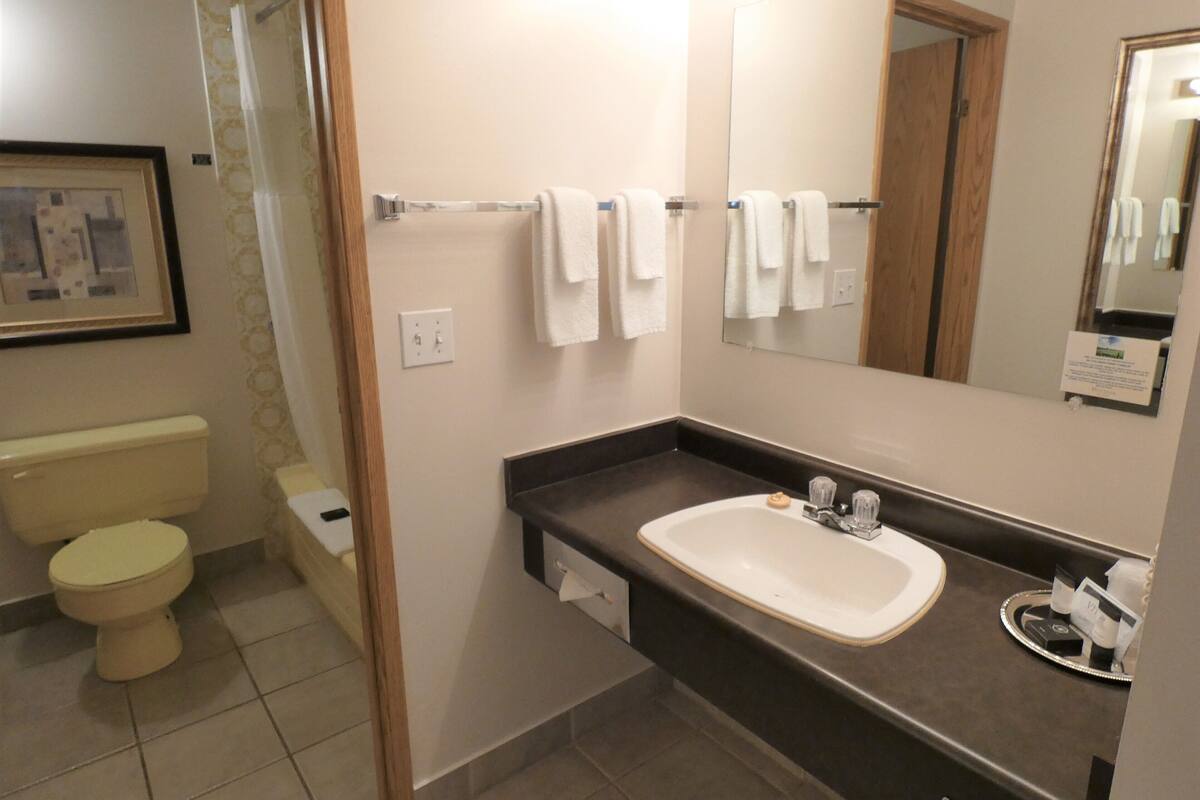 combined shower/bathtub, free toiletries, hair dryer, towels