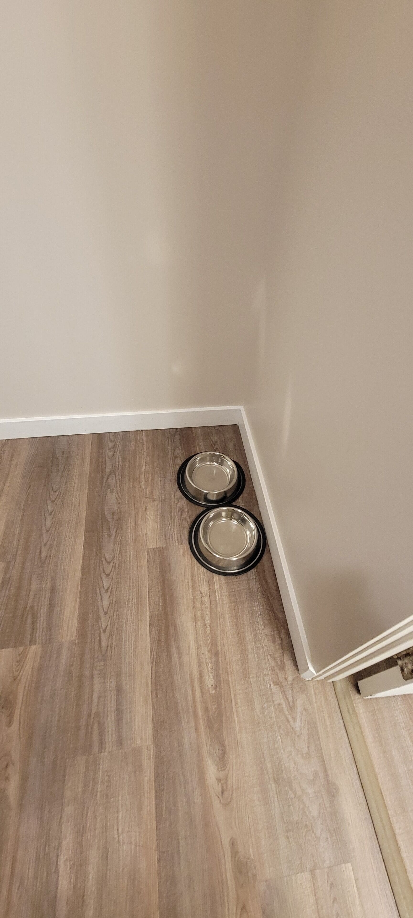 Una esquina de habitación con suelo de madera y dos cuencos metálicos para mascotas pegados a la pared.