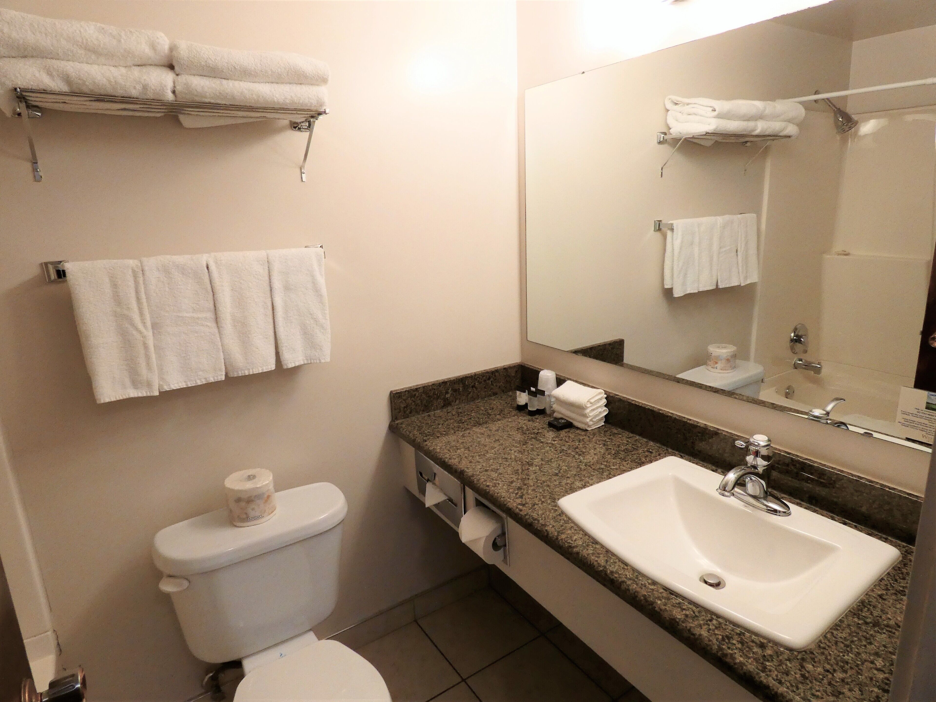 A bathroom with a toilet, sink, and mirror. There are towels hanging on the wall and a rack.