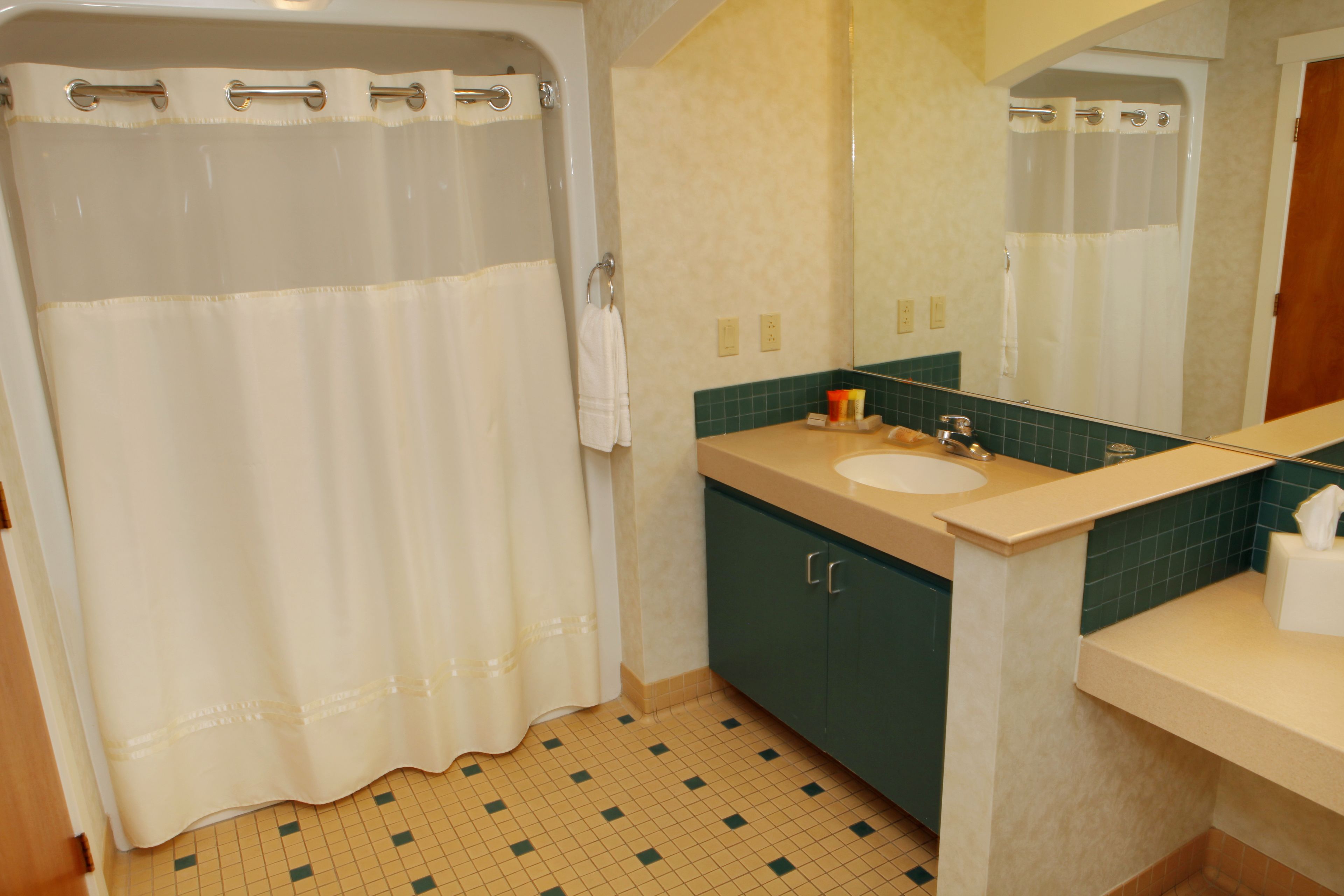Une salle de bain avec un rideau de douche, un lavabo et un miroir.