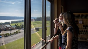 A view through a large window with a landscape of fields and a body of water. - The Inn at Glenora Wine Cellars (Dundee)