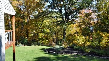 House | Garden view