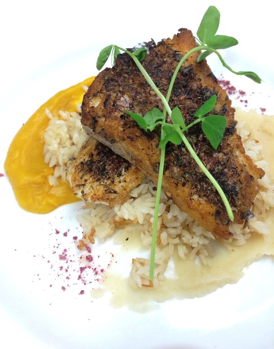 Un plato con pollo a la parrilla, arroz y salsa amarilla.