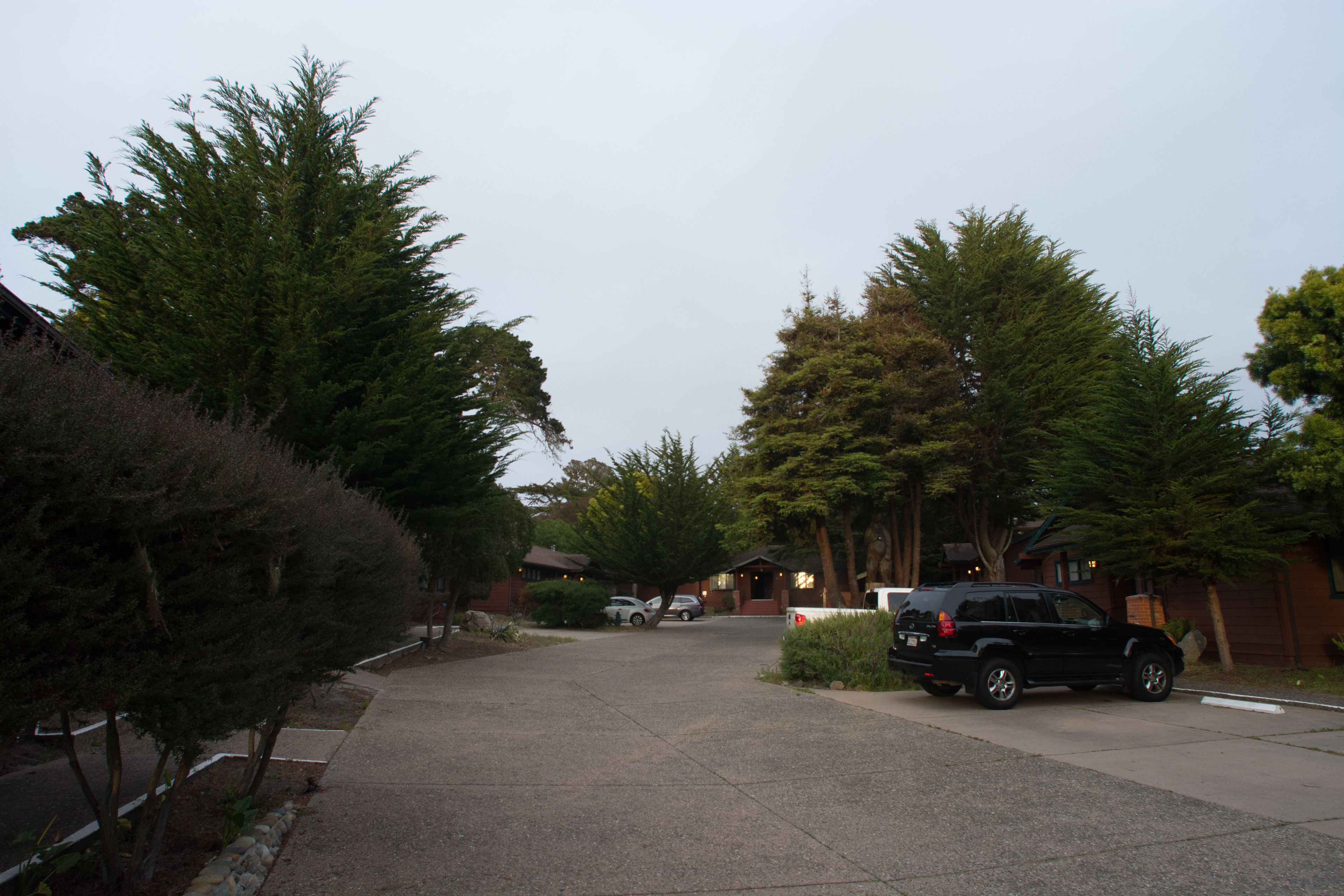 A residential street with houses, parked cars, and trees.