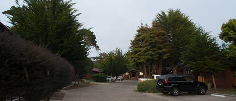 A residential street with houses, parked cars, and trees.