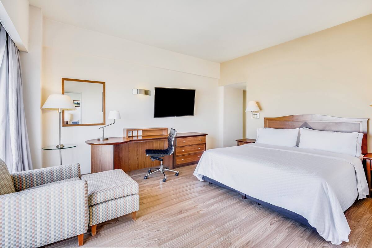 Habitación de hotel con una cama grande, un escritorio con silla, televisor y espejo.