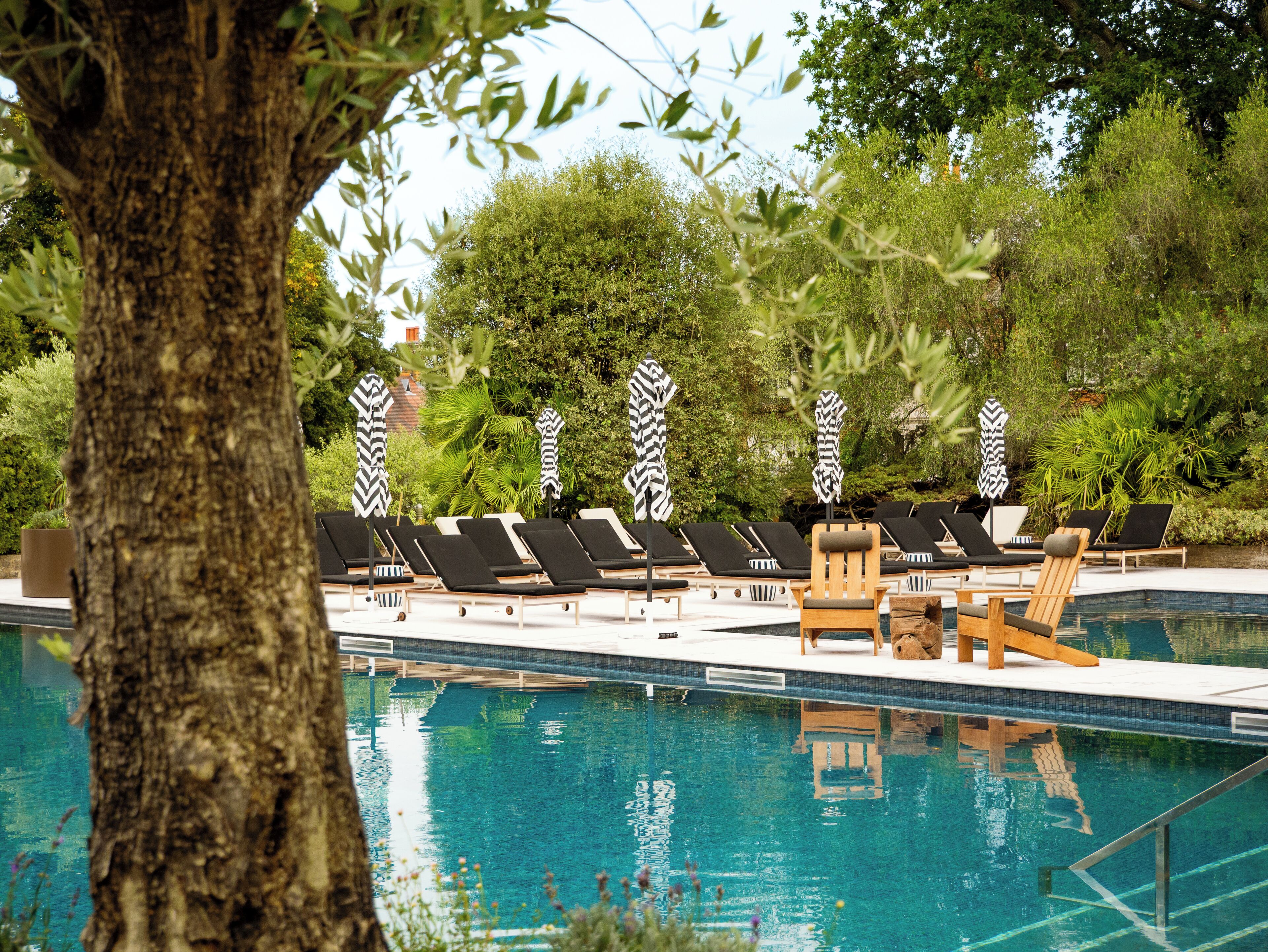 Zona de piscina con sillones de descanso y sombrillas, rodeada de árboles y vegetación.