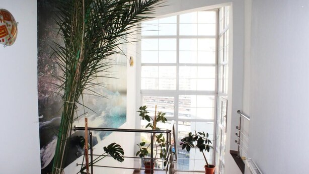 A bright stairwell with a glass door leading to an outdoor area, surrounded by potted plants and a large painting. - Elizeu (Bucharest)