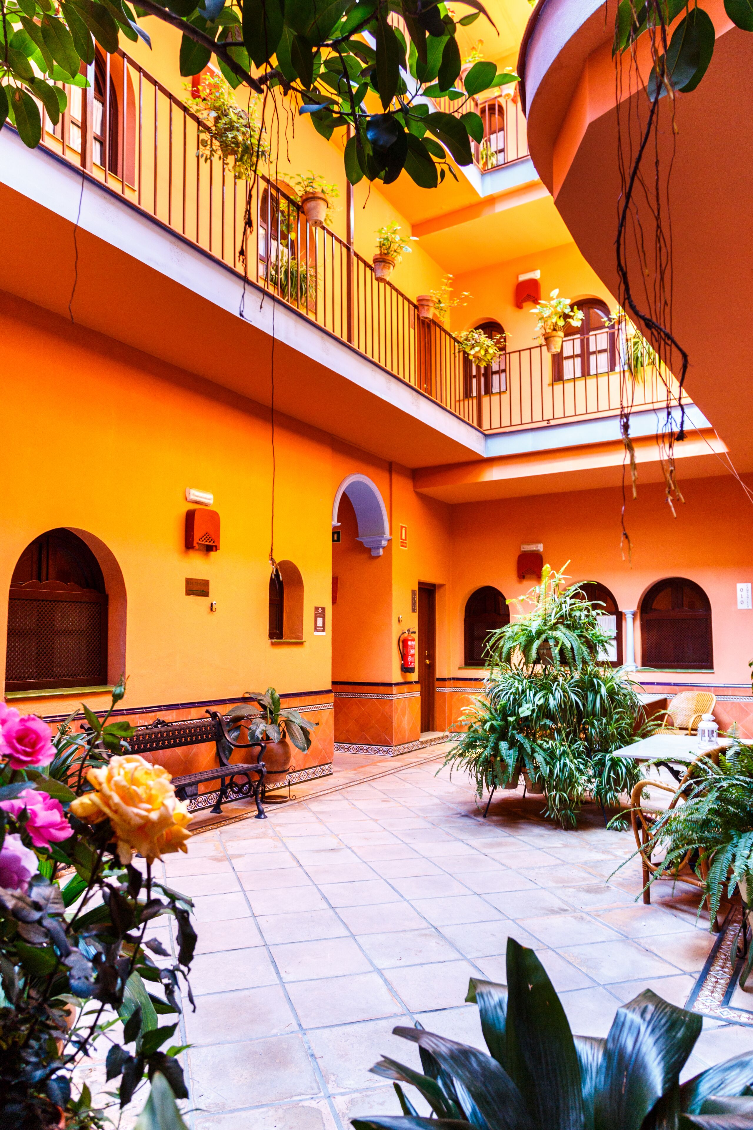 Foto - Patio de La Alameda