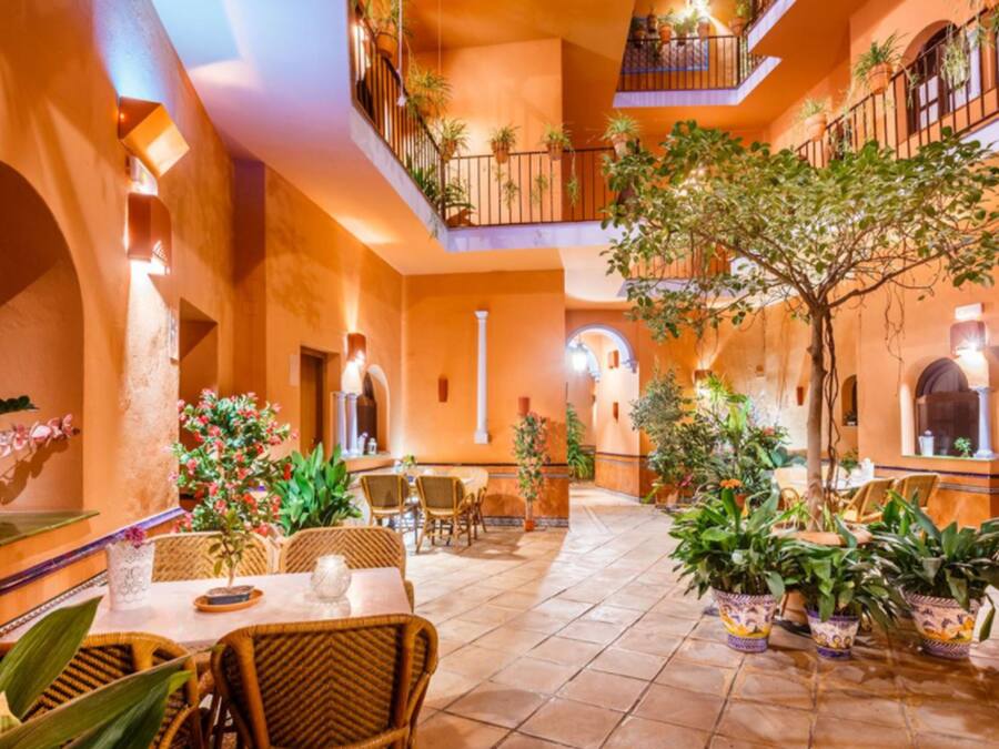 Un patio amplio con varias zonas de comedor, plantas en macetas y un árbol central.