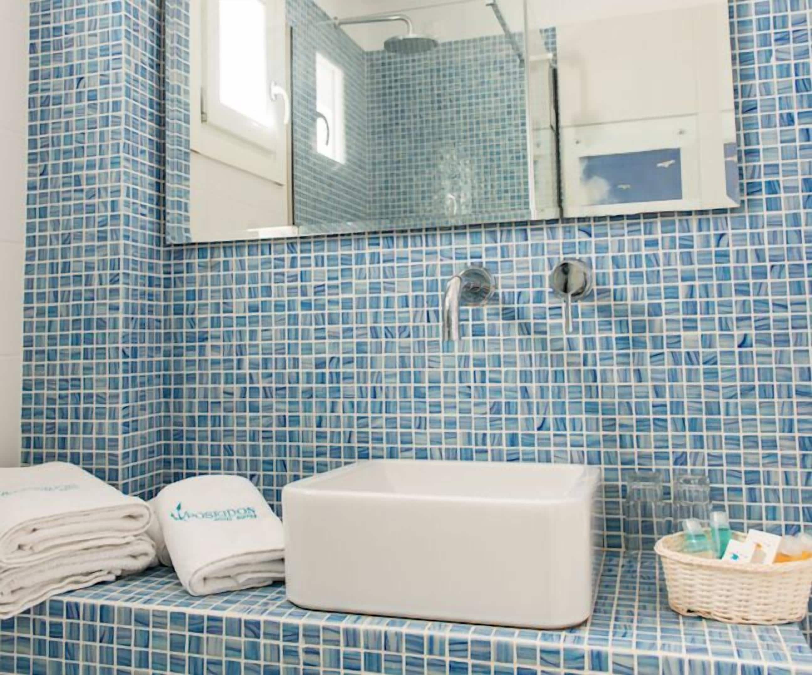 standard room (plus) | bathroom sink